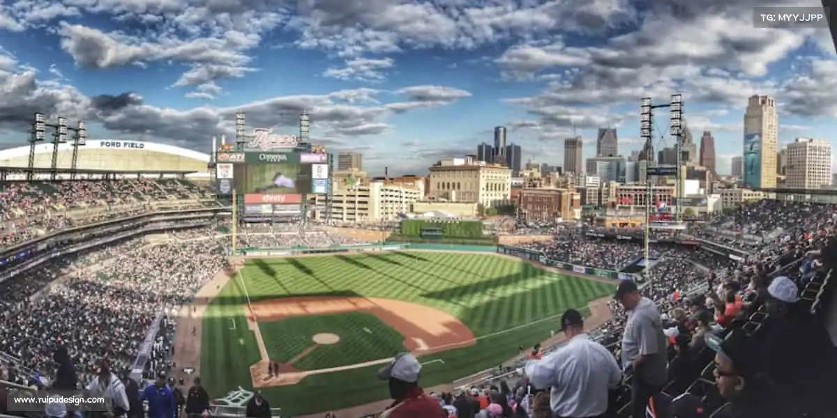 行业领先的理由